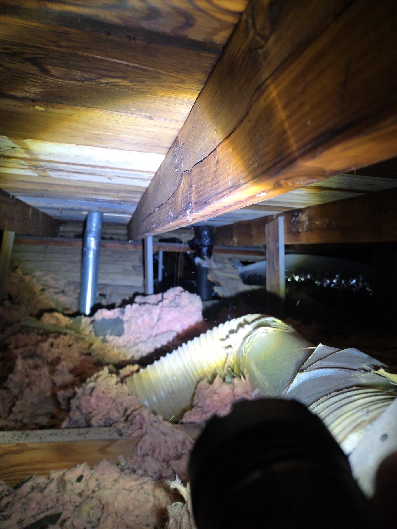 Attic and crawlspace inspection in Carney home